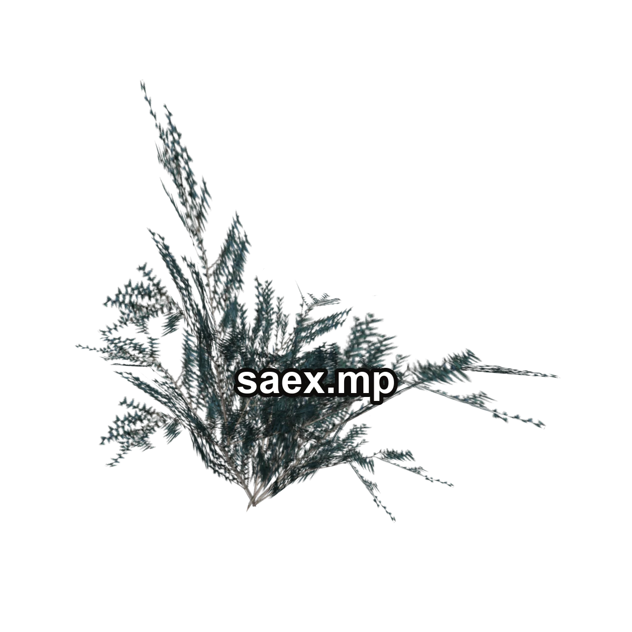 Obje önizlemesi · genVEG_bush18