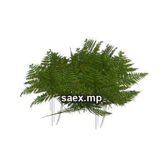 Object preview · genVEG_tallgrass06