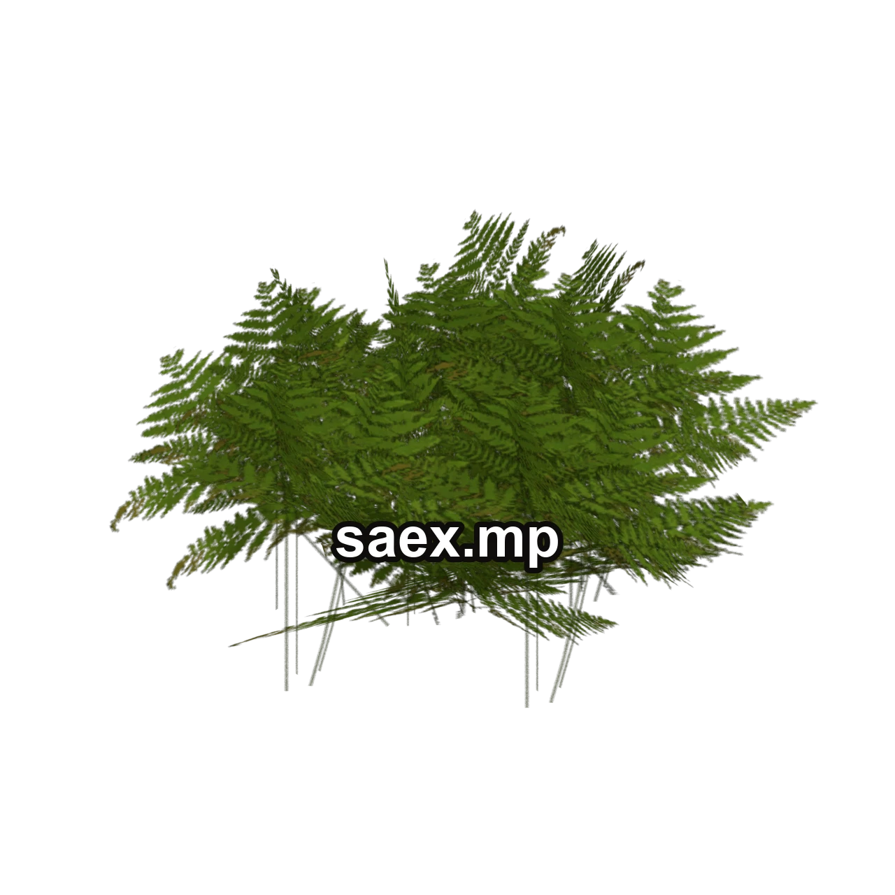 Object preview · genVEG_tallgrass06