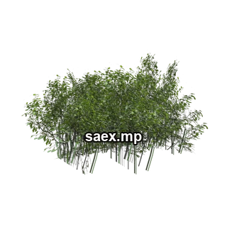 Object preview · genVEG_tallgrass10