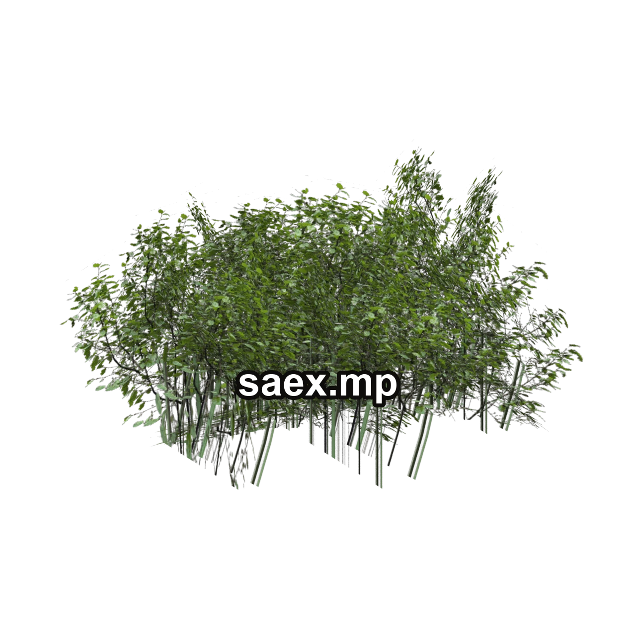 Object preview · genVEG_tallgrass10