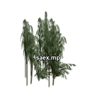 Object preview · genVEG_tallgrass11