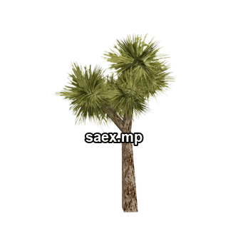 Object preview · sand_josh2
