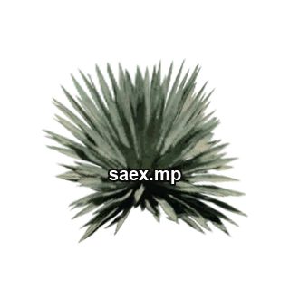 Object preview · sand_plant01