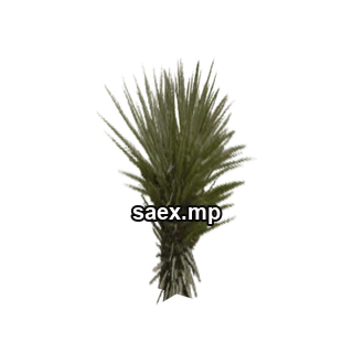 Object preview · sand_plant02