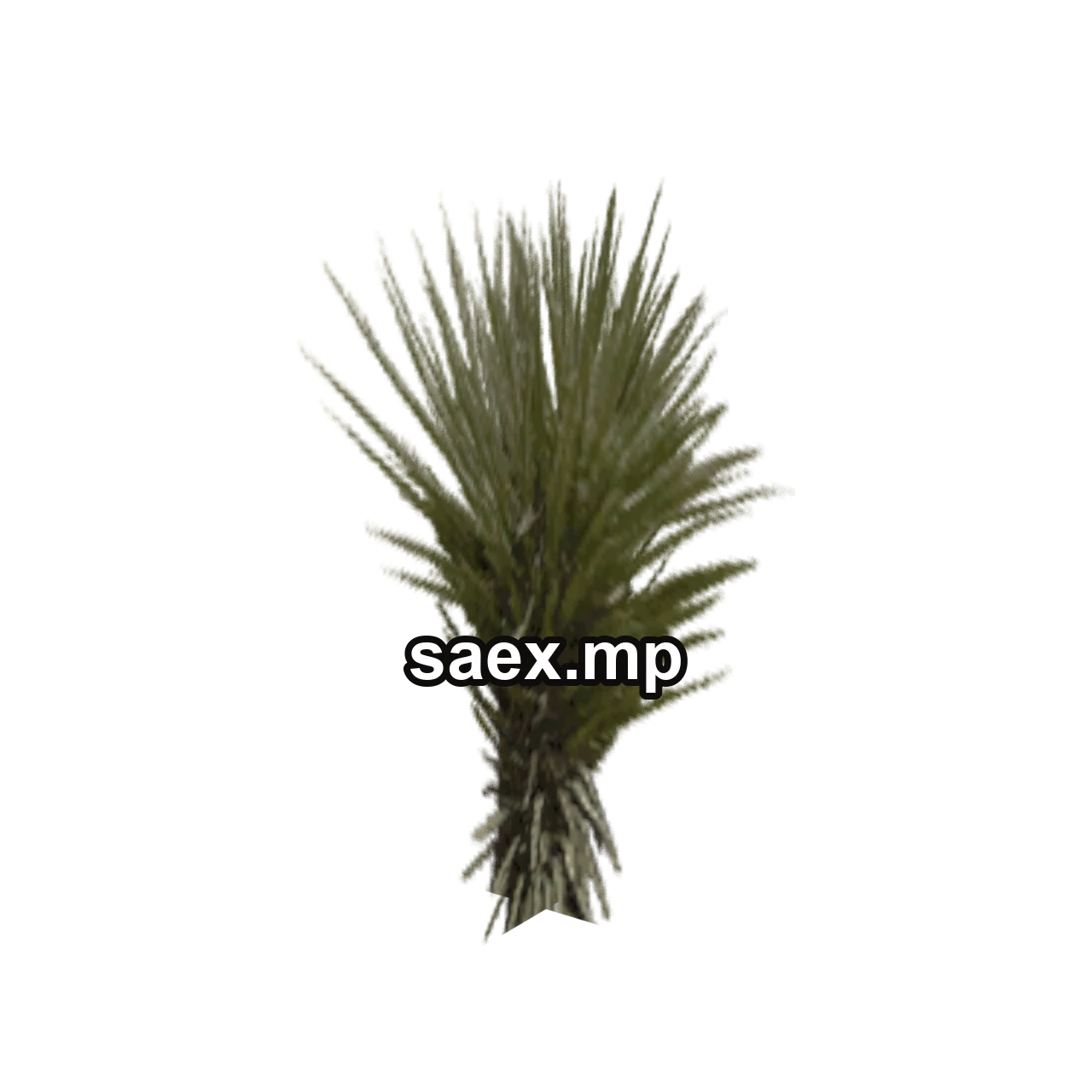 Object preview · sand_plant02