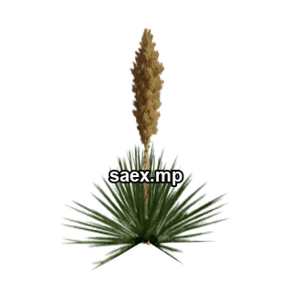 Obje önizlemesi · sand_plant05
