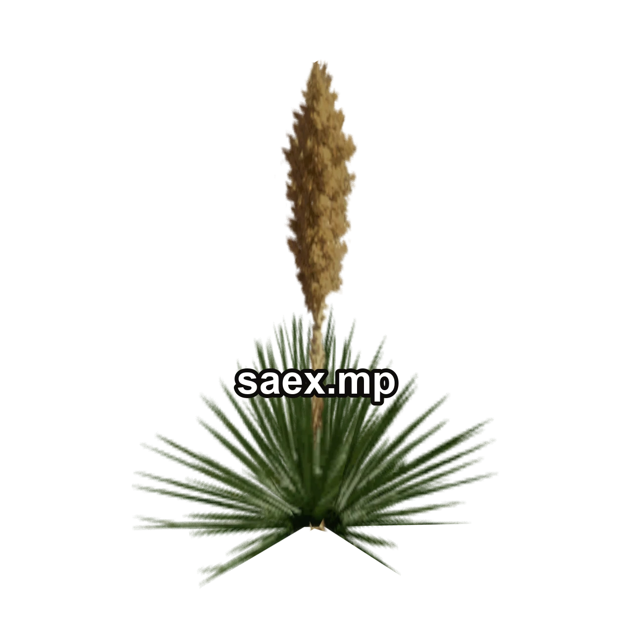 Obje önizlemesi · sand_plant05
