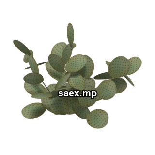 Obje önizlemesi · sand_plant03
