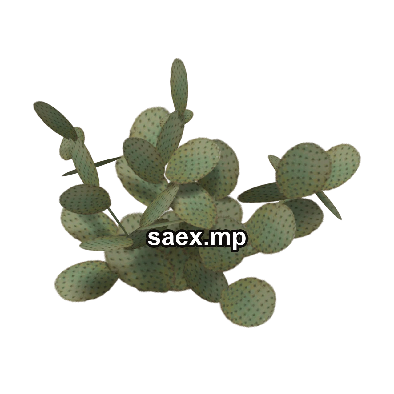 Obje önizlemesi · sand_plant03