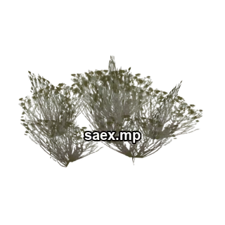 Object preview · sand_combush02