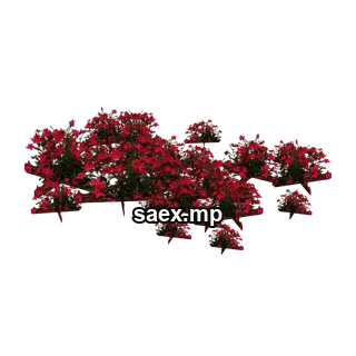 Object preview · veg_Pflowerswee