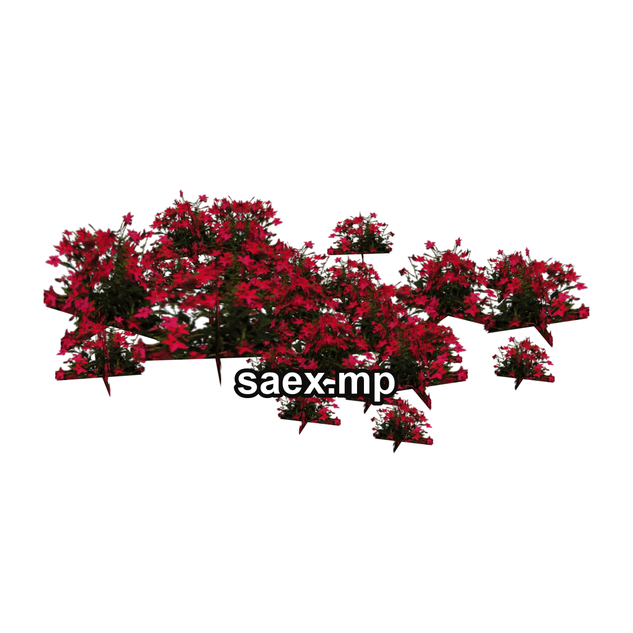 Object preview · veg_Pflowerswee
