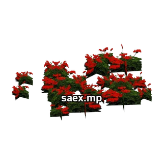 Obje önizlemesi · veg_Pflowers2wee