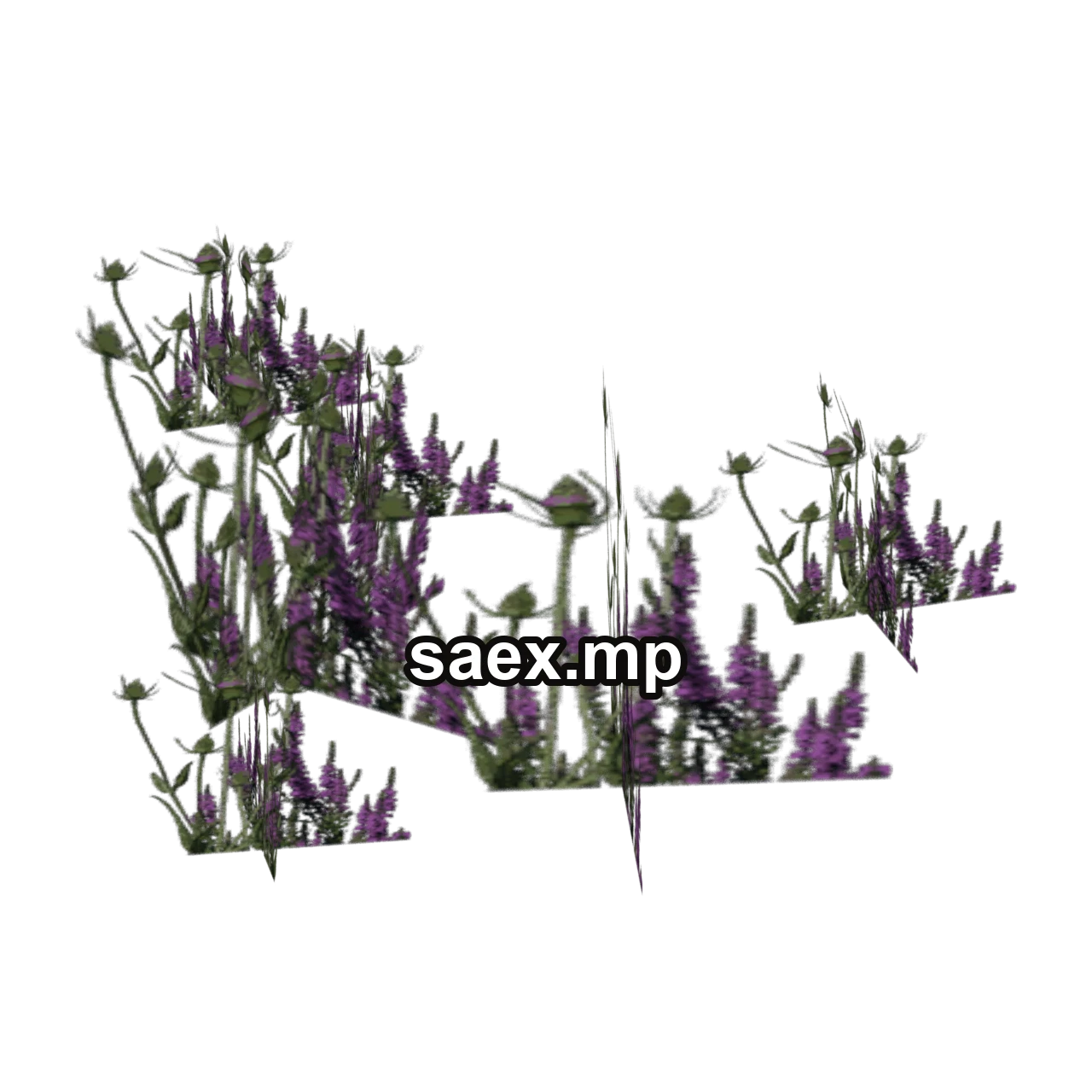 Obje önizlemesi · veg_Pflowers03