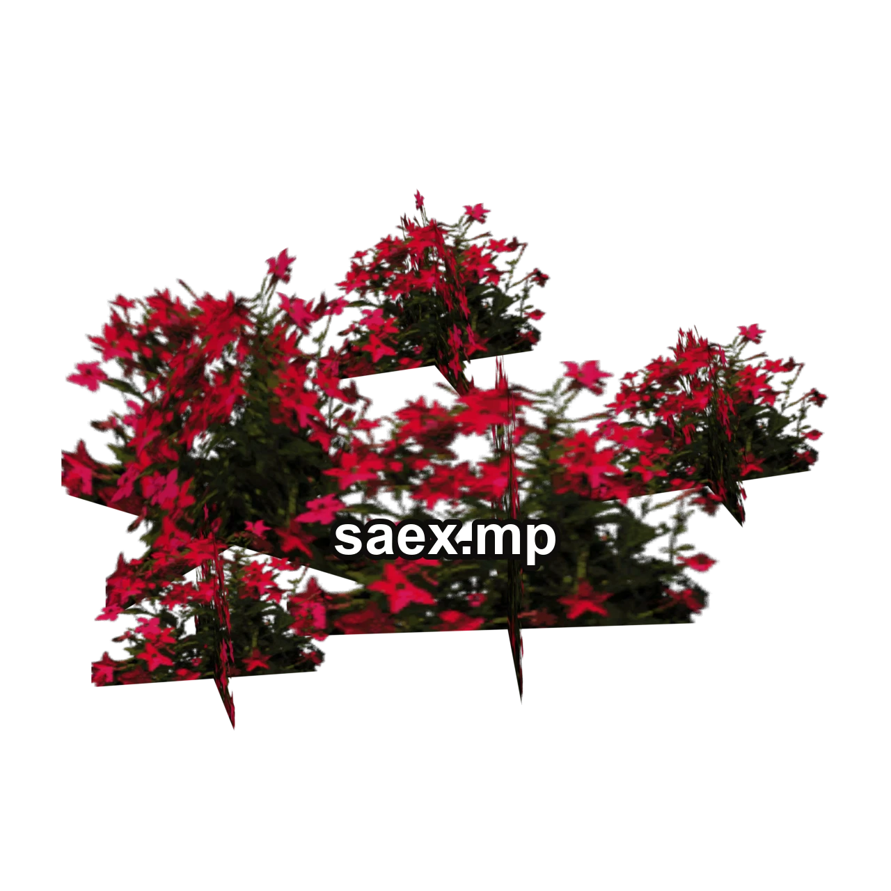 Object preview · veg_Pflowers04