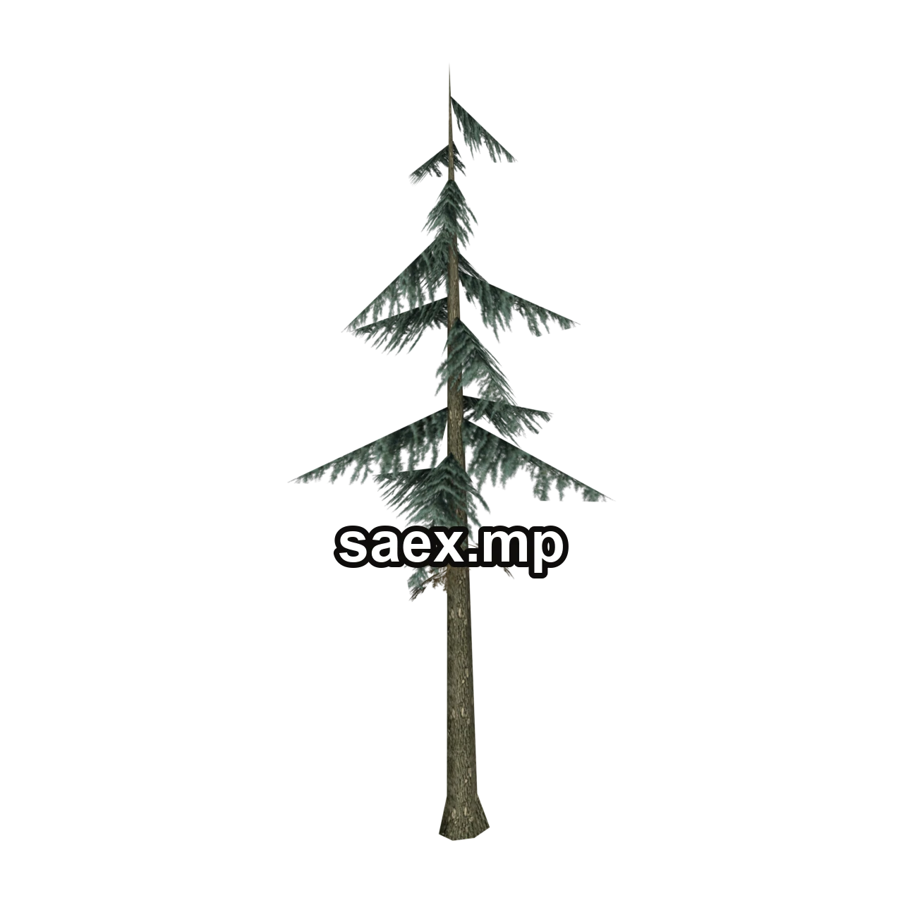 Object preview · sm_fir_scabg_PO