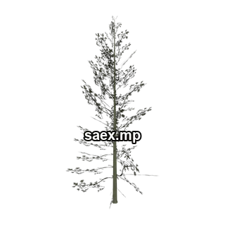 Obje önizlemesi · Cedar3_PO