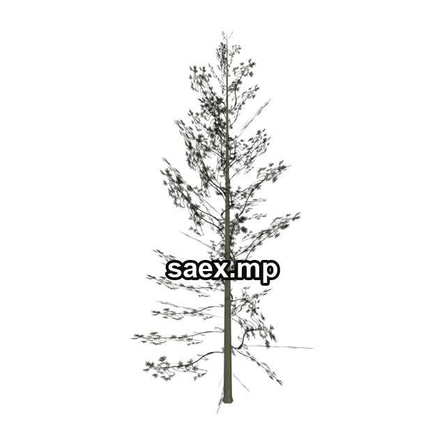Preview of Cedar3_PO, model 883
