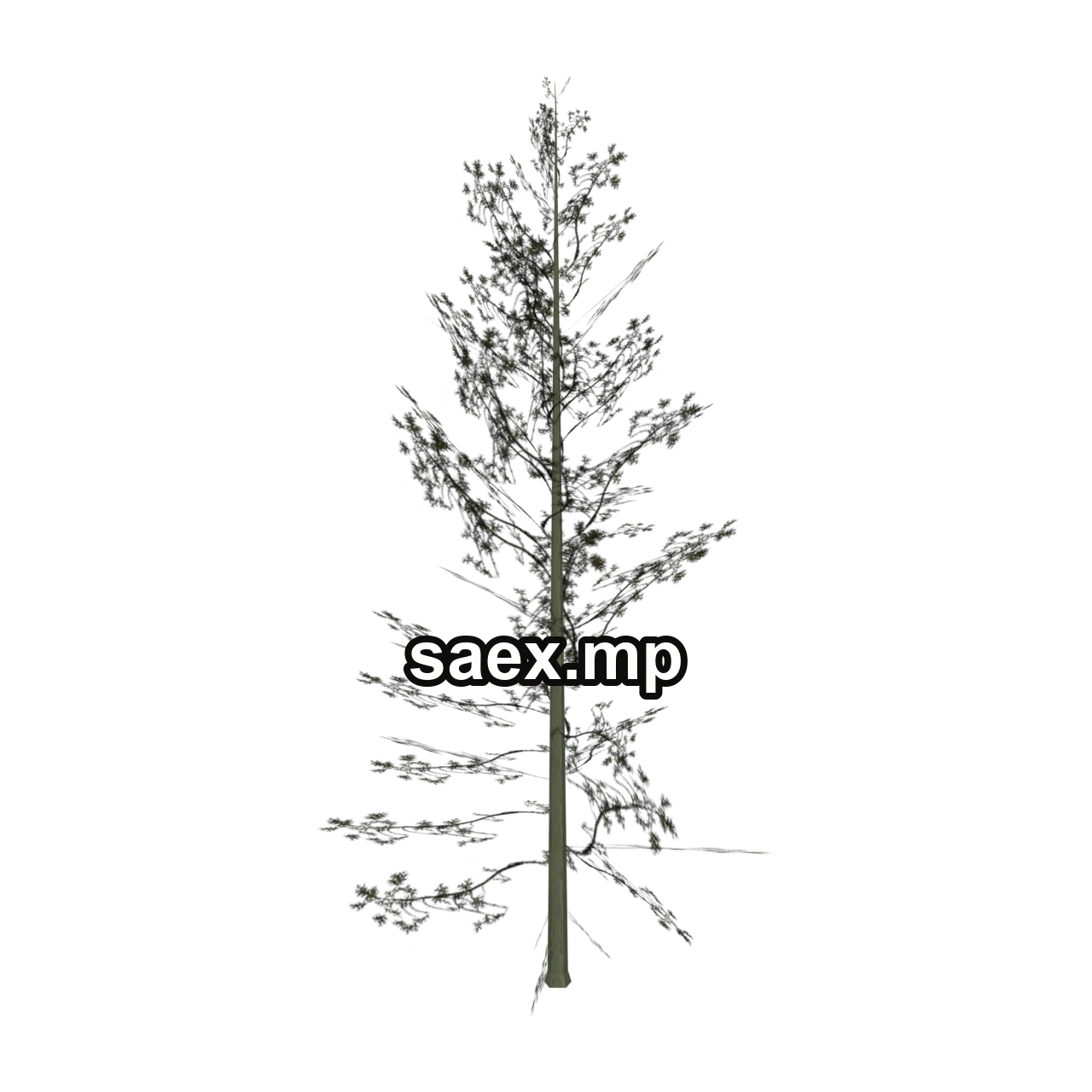 Object preview · Cedar3_PO
