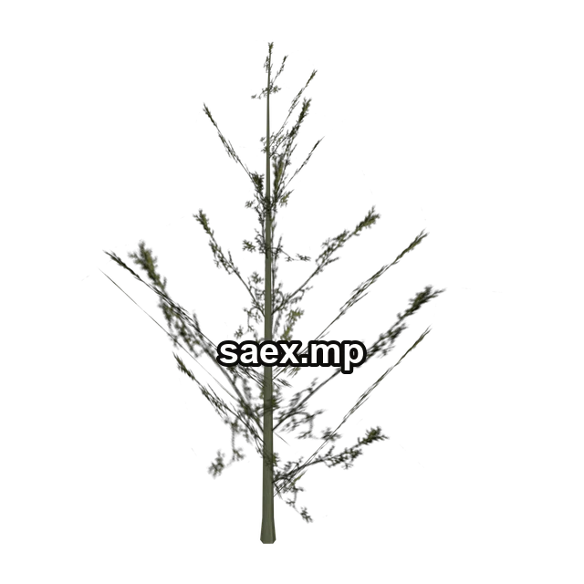 Preview of Cedar2_PO, model 884