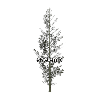 Obje önizlemesi · Cedar1_PO