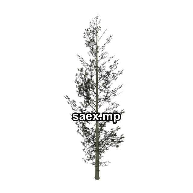 Preview of Cedar1_PO, model 885