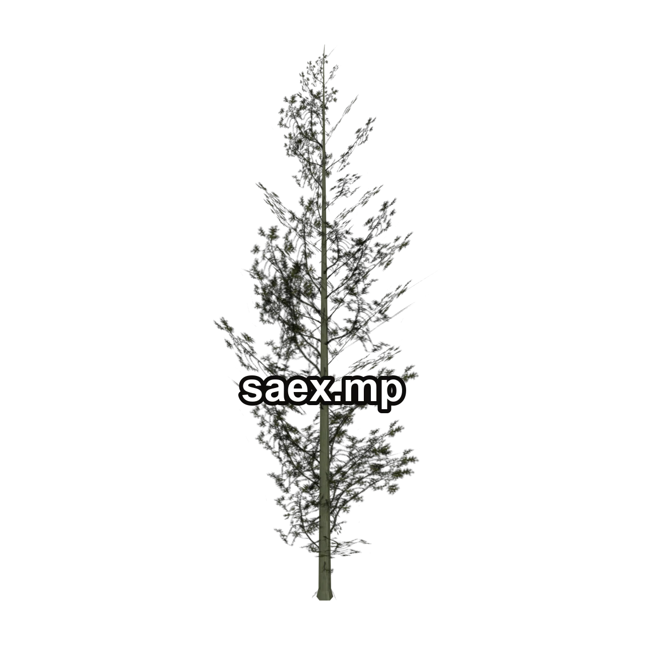 Obje önizlemesi · Cedar1_PO
