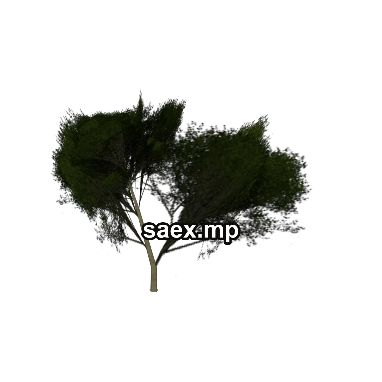 Object preview · Elmtreegrn2_PO