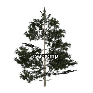 Obje önizlemesi · Pinebg_PO