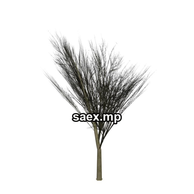 Preview of Elmdead_PO, model 891