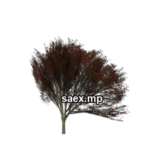 Object preview · Elmredsm_PO