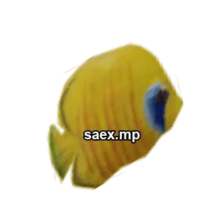 Object preview · fish1single