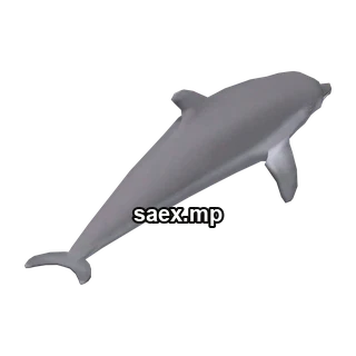 Obje önizlemesi · dolphin