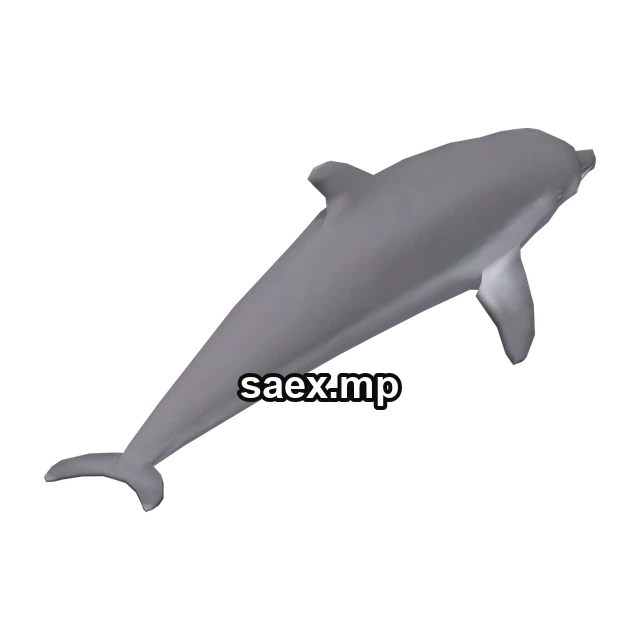 dolphin önizlemesi, model 1607