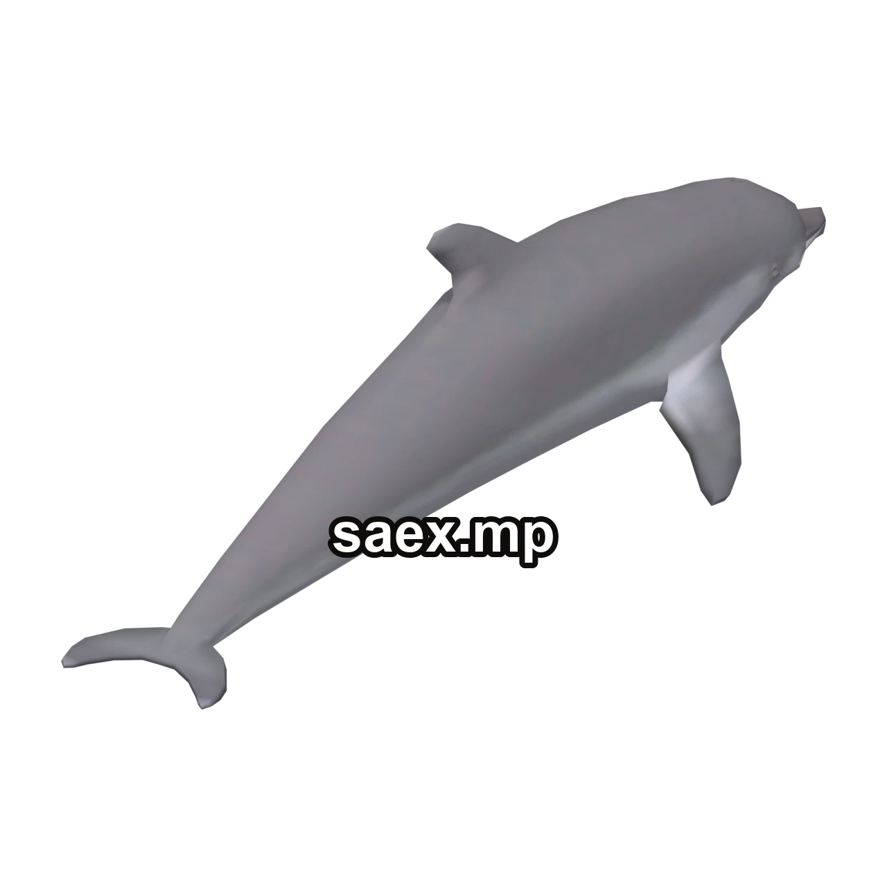 Object preview · dolphin