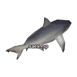 Object preview · shark