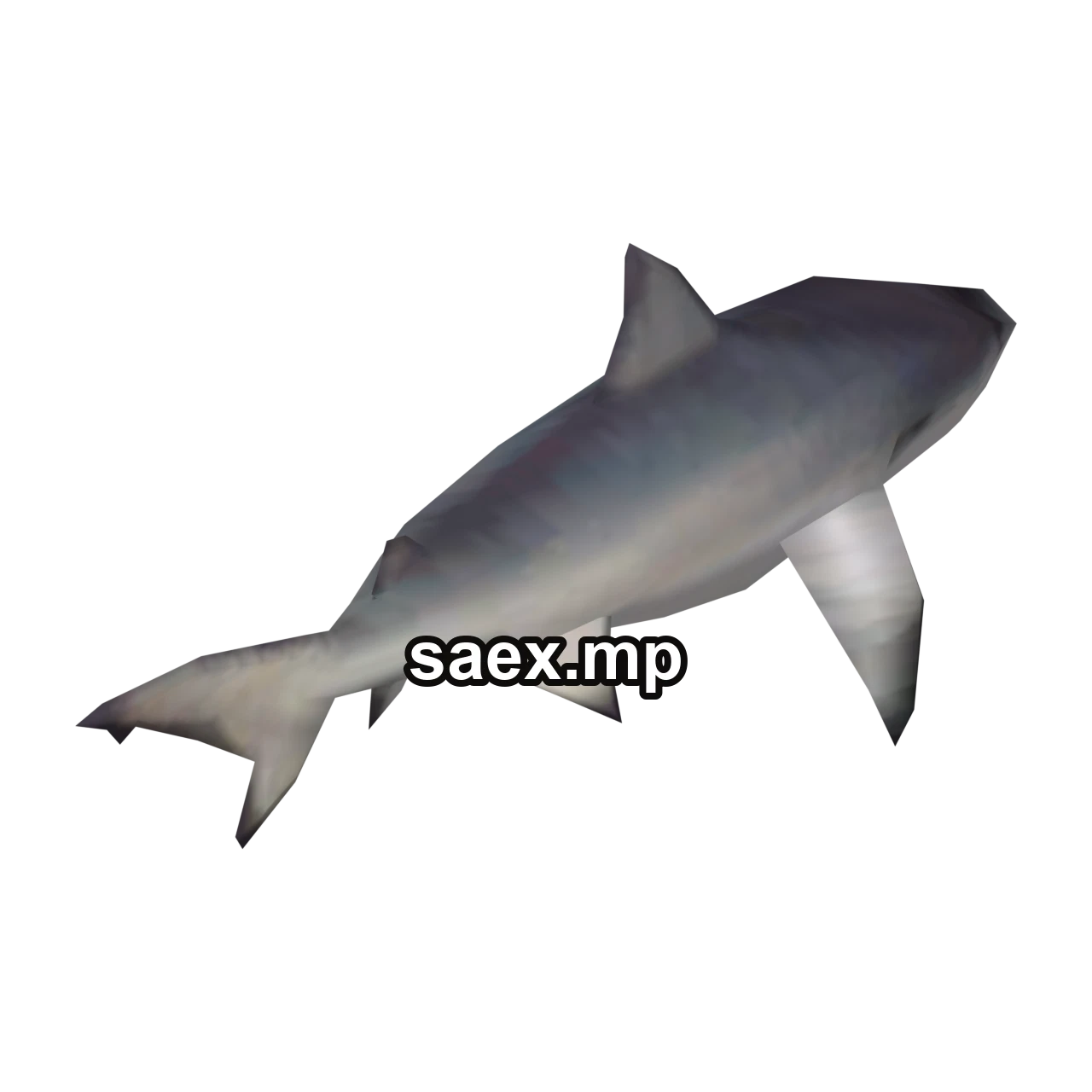 Object preview · shark