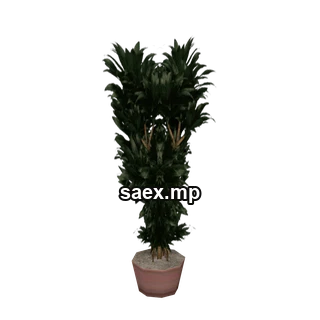 Obje önizlemesi · nu_plant3_ofc