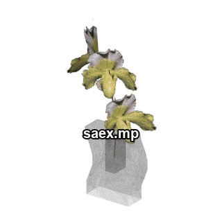 Object preview · Plant_Pot_19