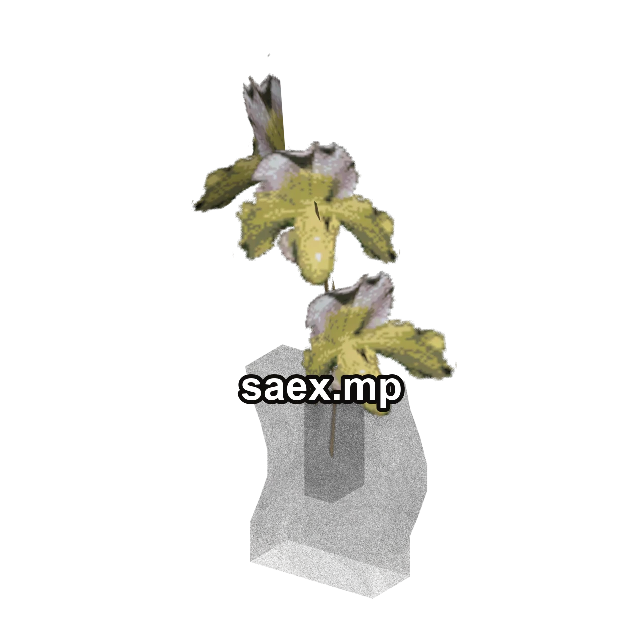 Object preview · Plant_Pot_19