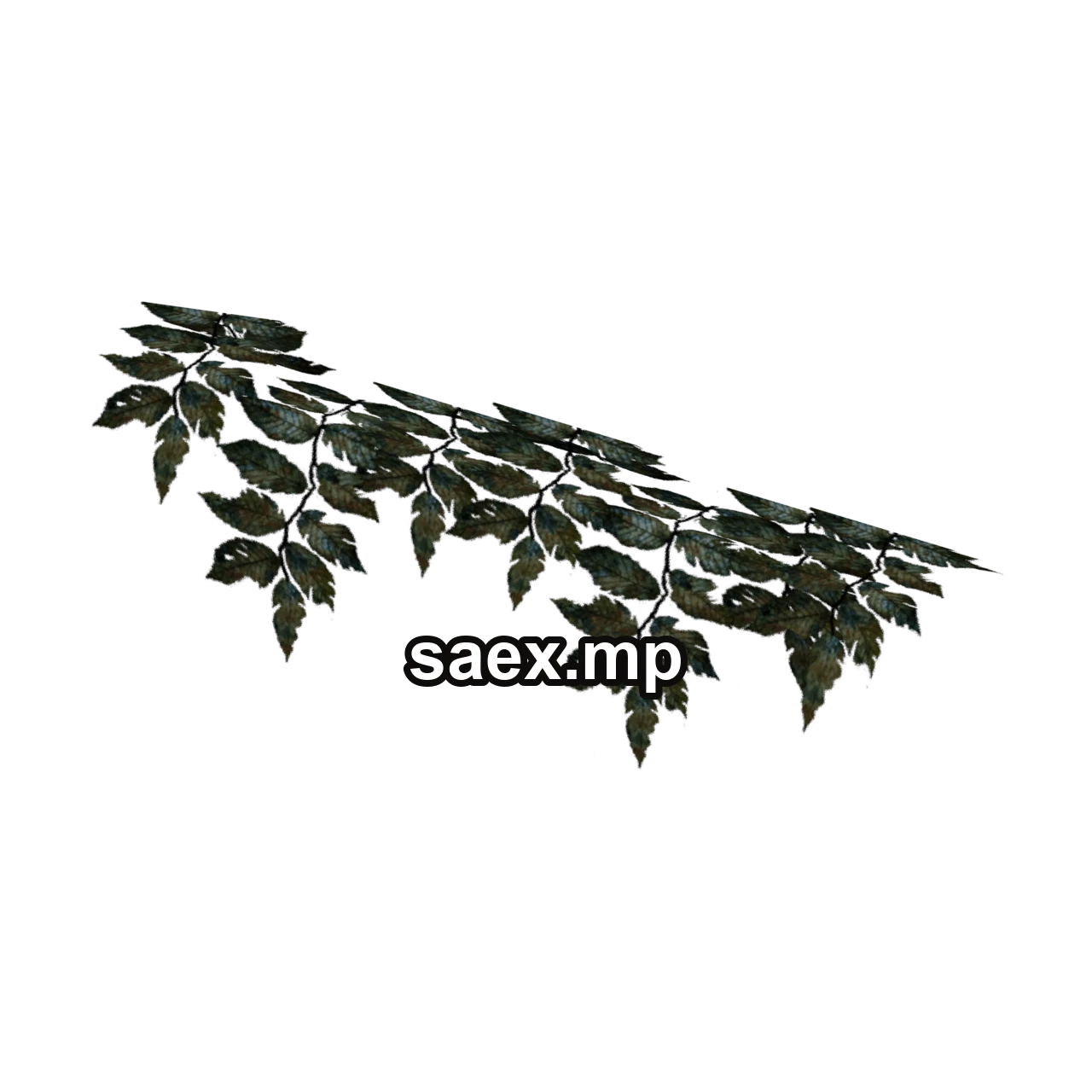 Object preview · Plant_Pot_23