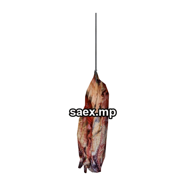 Preview of ab_carcass, model 2589