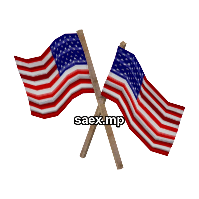 Preview of CJ_US_FLAG, model 2614