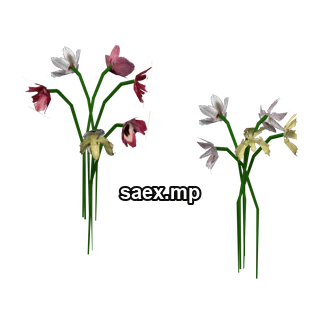 Object preview · fun_flower_law