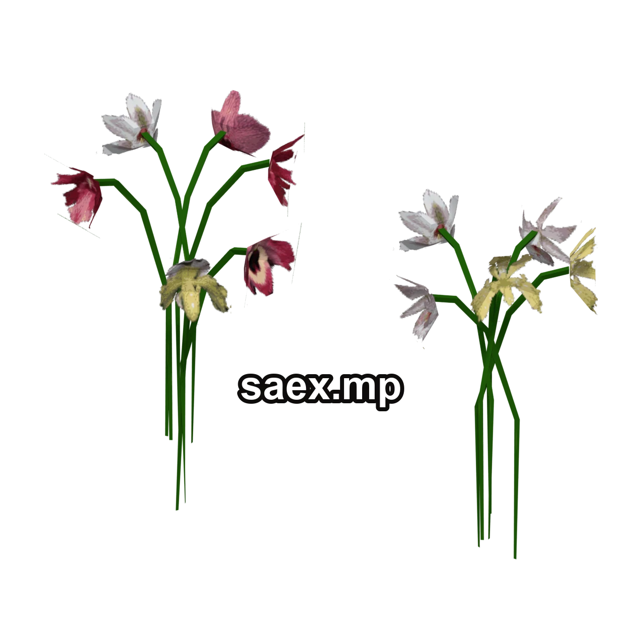 Object preview · fun_flower_law