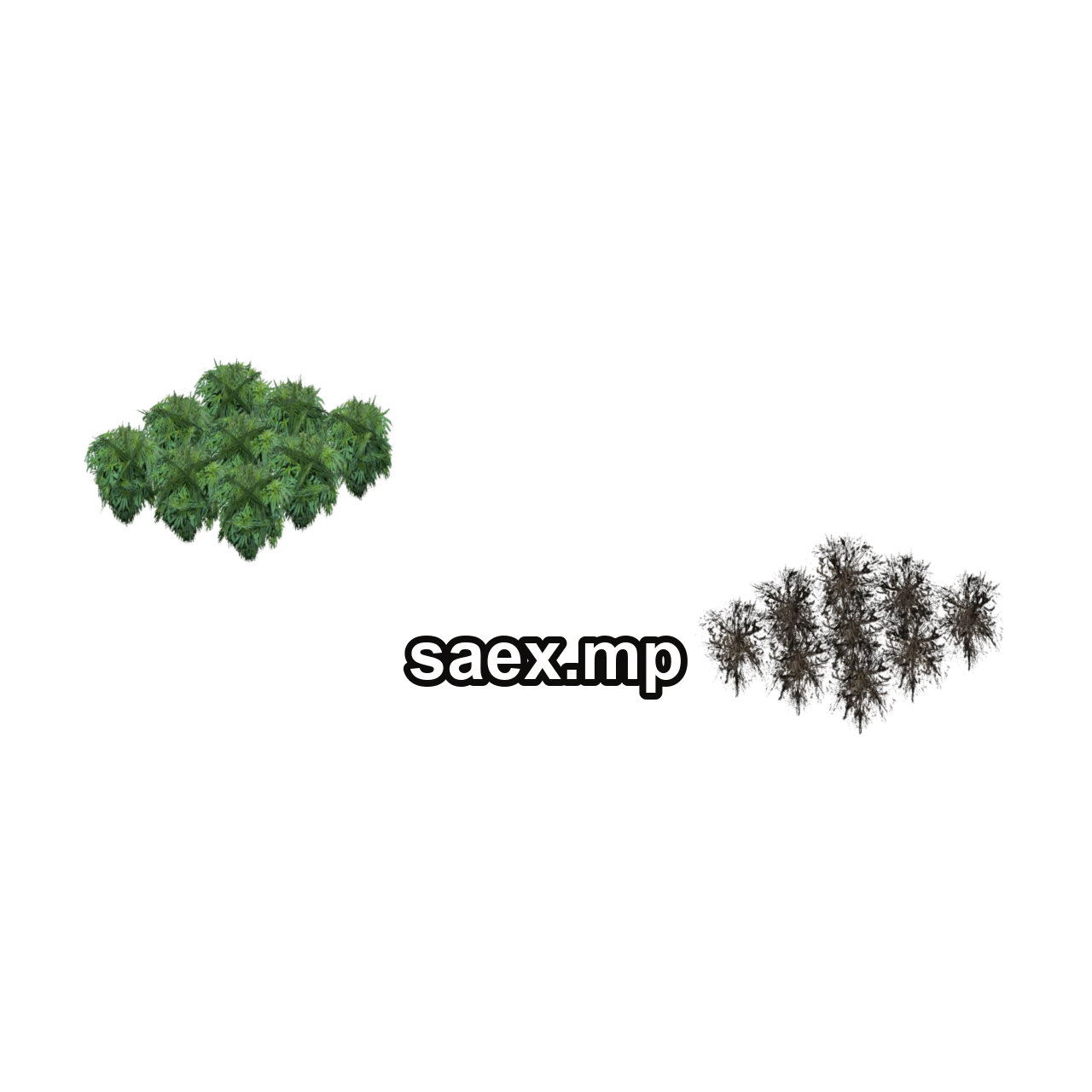 Obje önizlemesi · grassplant