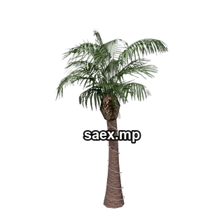 Object preview · VgsN_nitree_y01