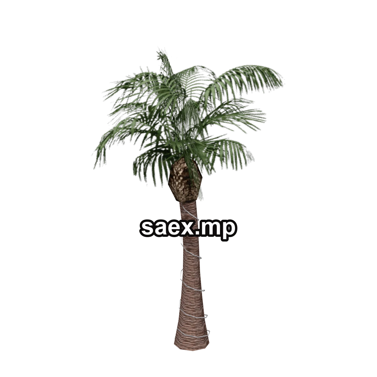 Object preview · VgsN_nitree_y01