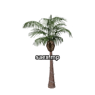 Object preview · VgsN_nitree_y02